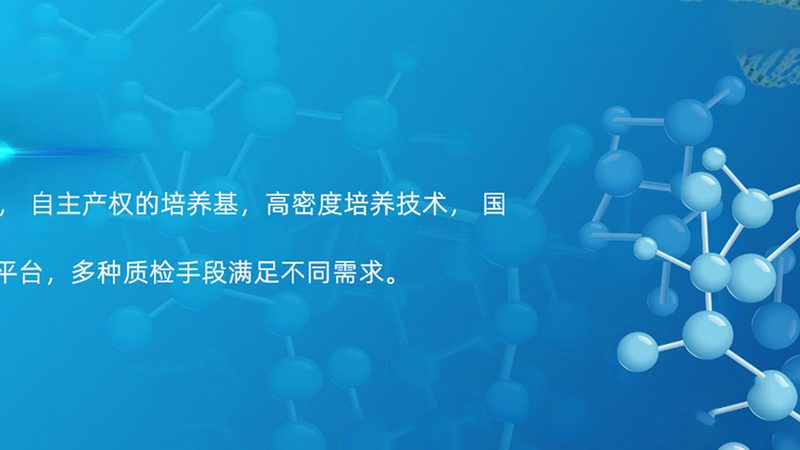 儿童天赋基因检测：揭秘背后的科学奥秘**