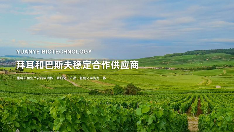 广州酶制剂批发厂家：如何选择合适的供应商？**
