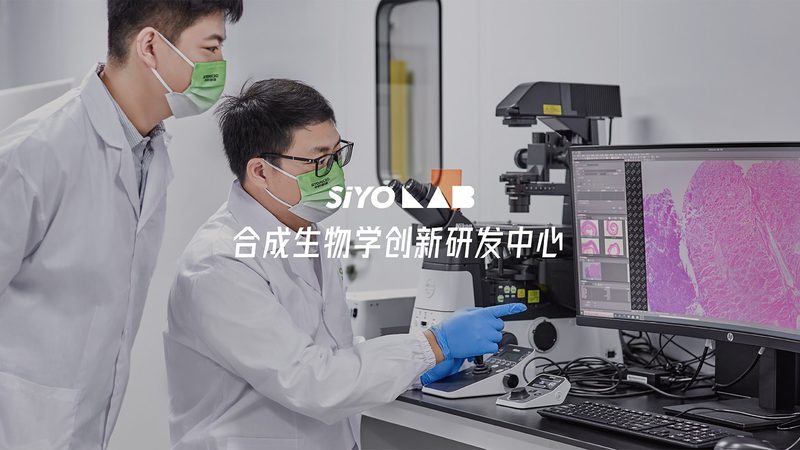 生物药企的CRO困局：本地化服务才是解药