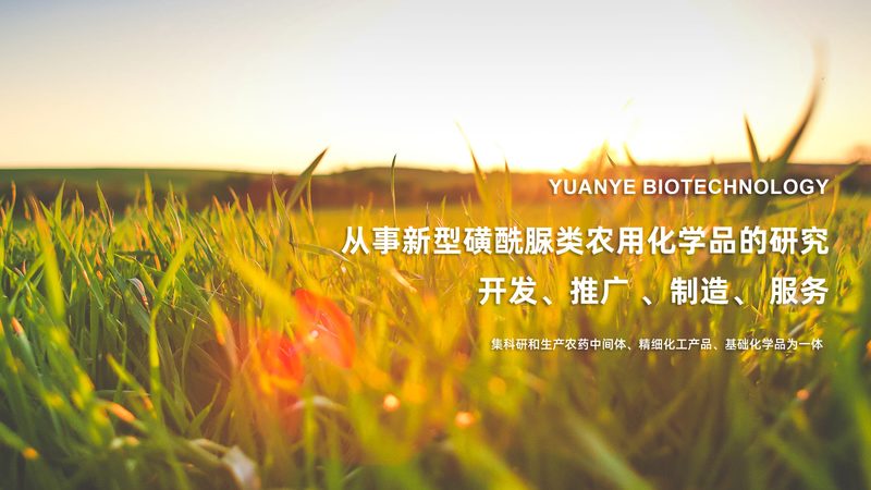elisa试剂盒使用注意事项