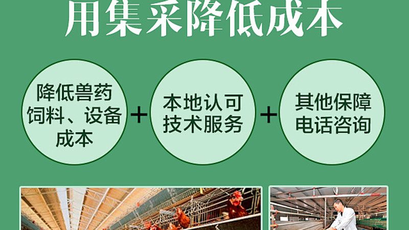 进口分子生物学试剂：如何选择合适的批发供应商**