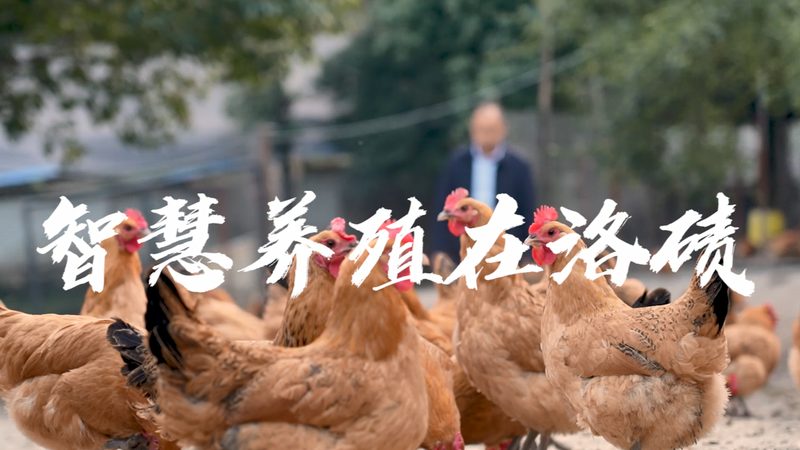 小分子CDMO：如何选择合适的生产厂家？**