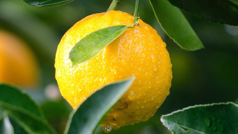 基因测序仪与PCR仪：揭开分子生物学研究的双剑之谜