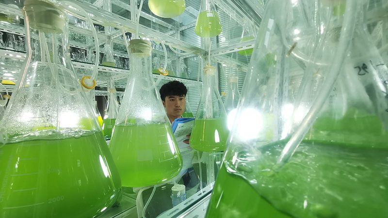 CRO与SEO优化：两股力量的差异化解读